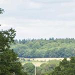 bucklebury-estate-landscape
